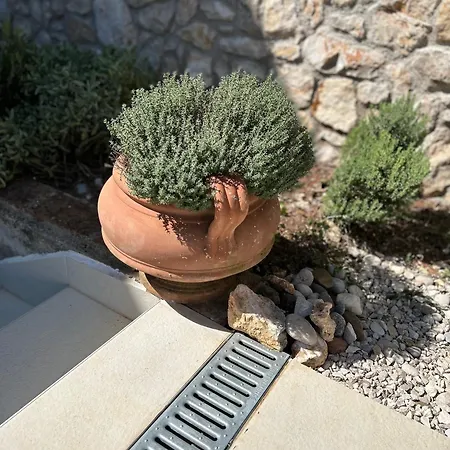 Prázdninový dům Bonvivan House Diminići