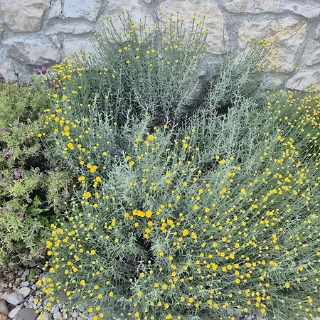 Bonvivan House Prázdninový dům