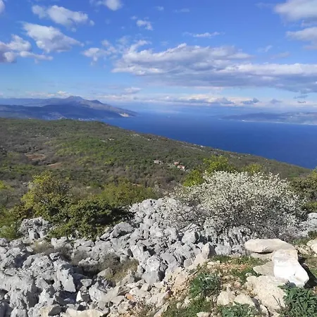 Bonvivan House Casa vacanze *