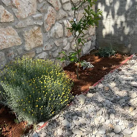 Casa vacanze Bonvivan House *