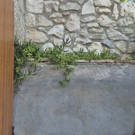 Casa vacanze Bonvivan House Diminići